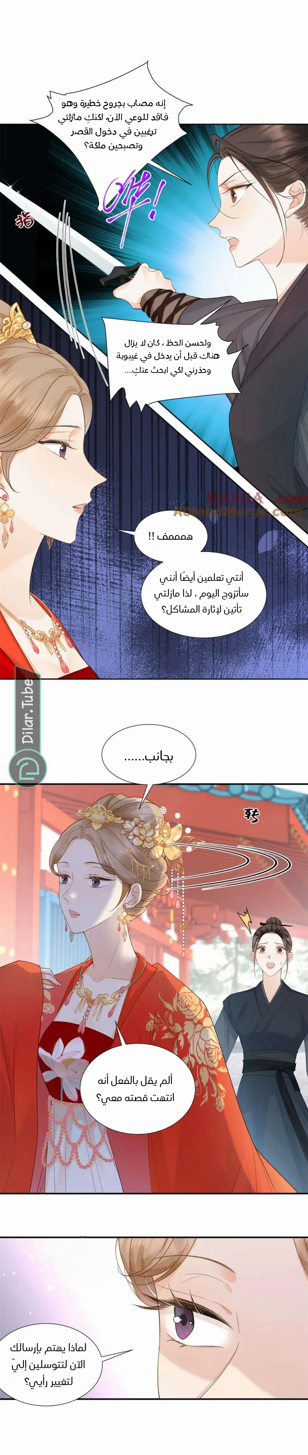 الصفحة 3
