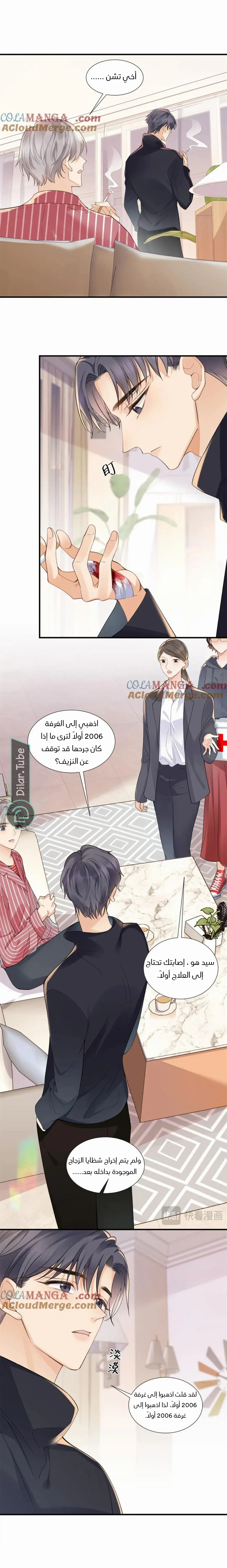 الصفحة 11