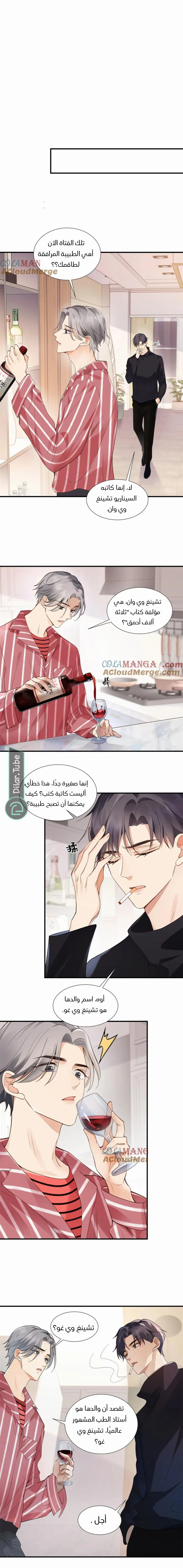 الصفحة 13