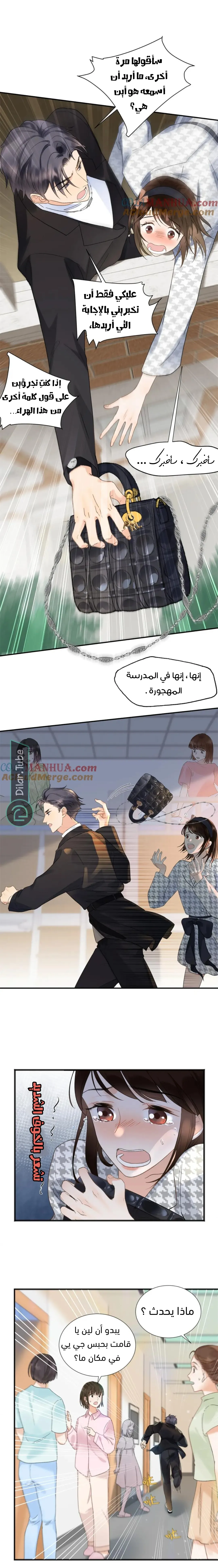 الصفحة 8