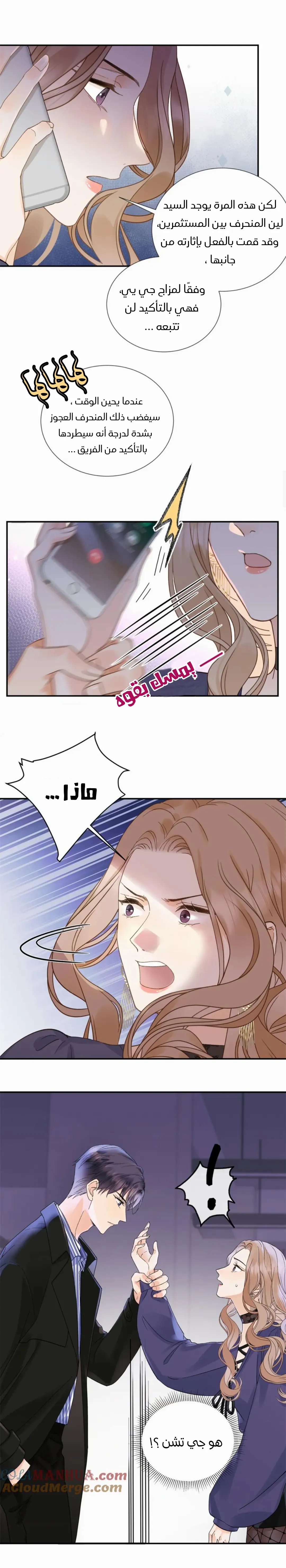 الصفحة 3