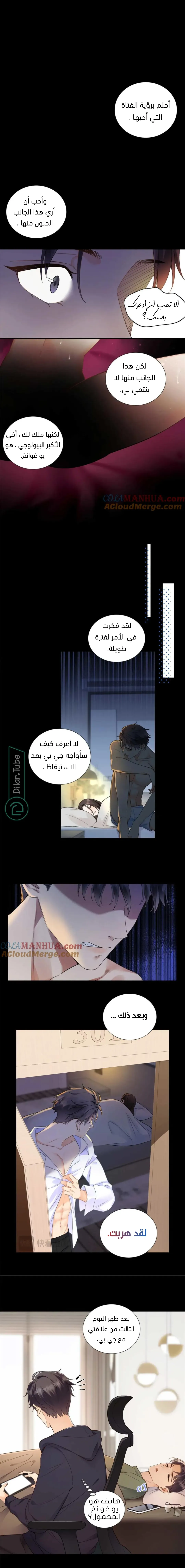 الصفحة 3