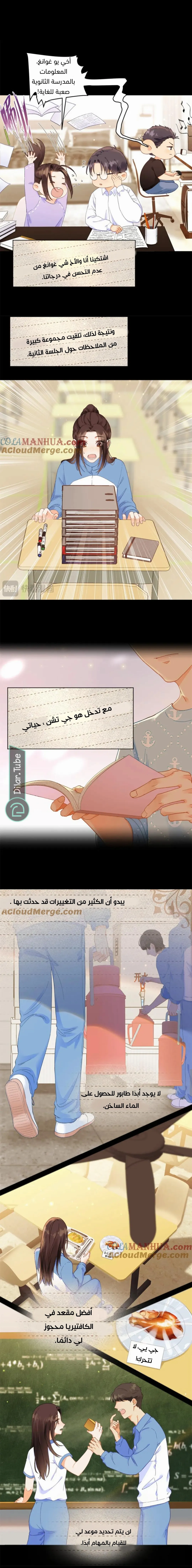 الصفحة 3