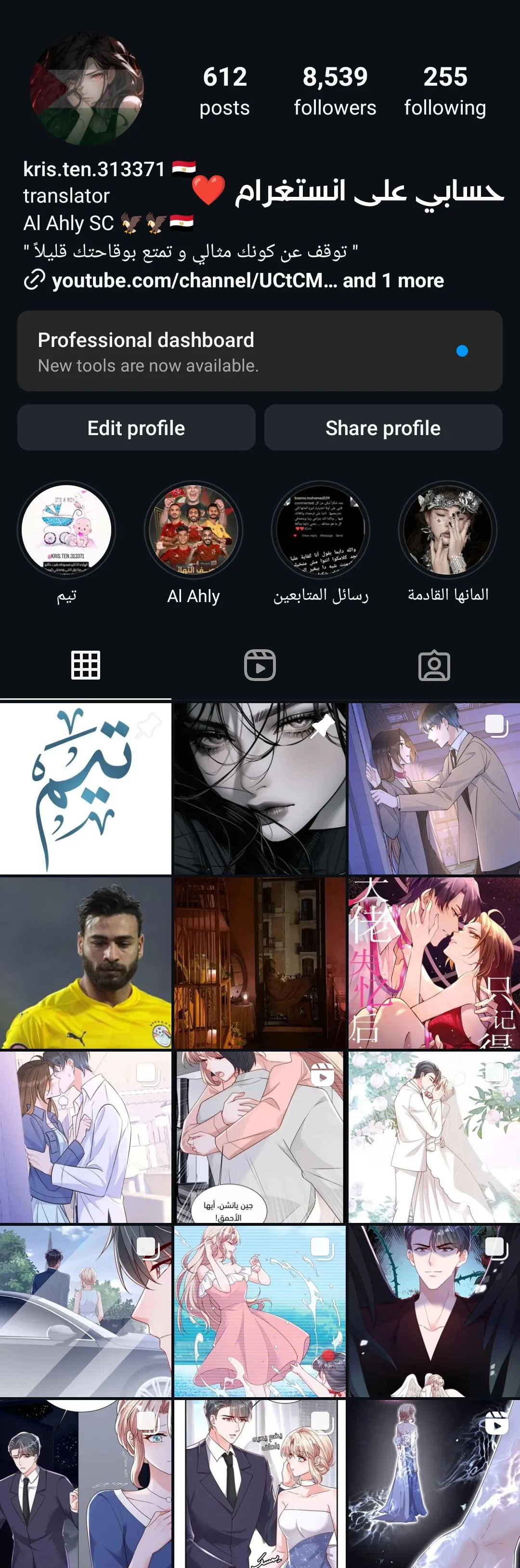 الصفحة 13