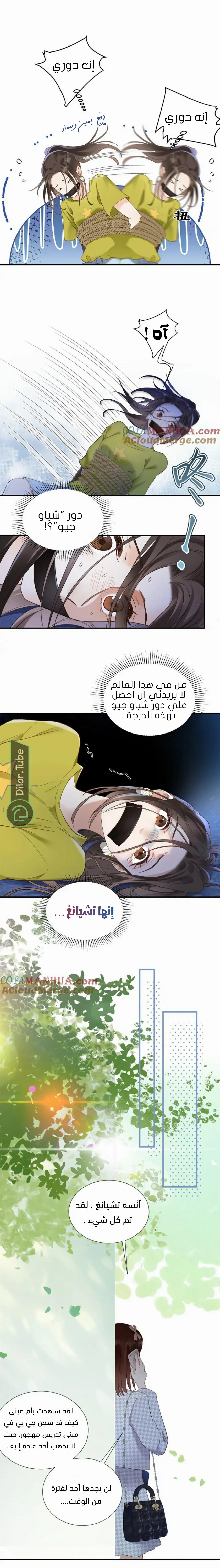 الصفحة 11