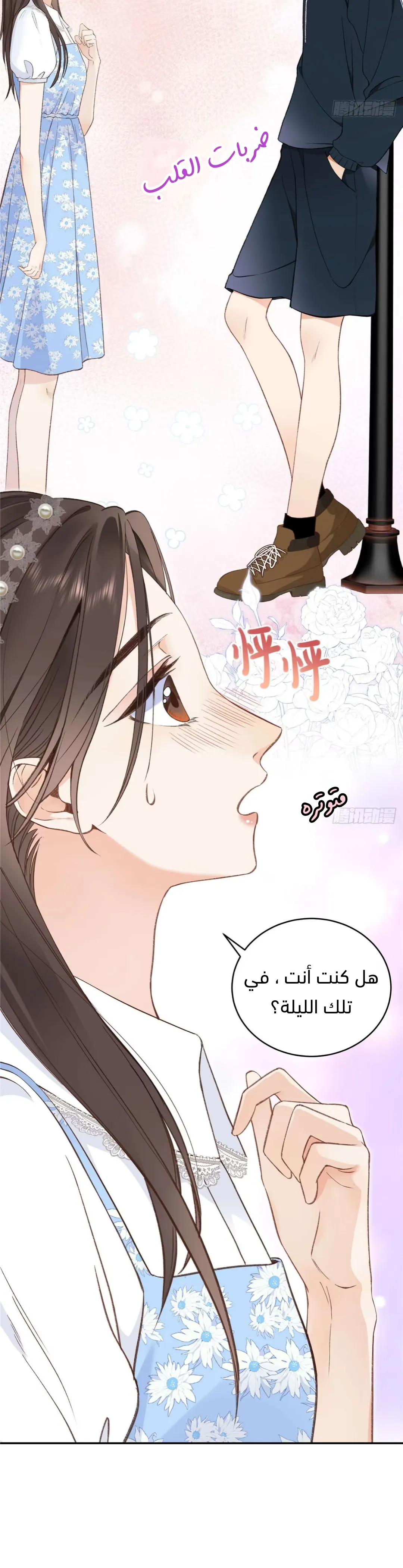 الصفحة 3