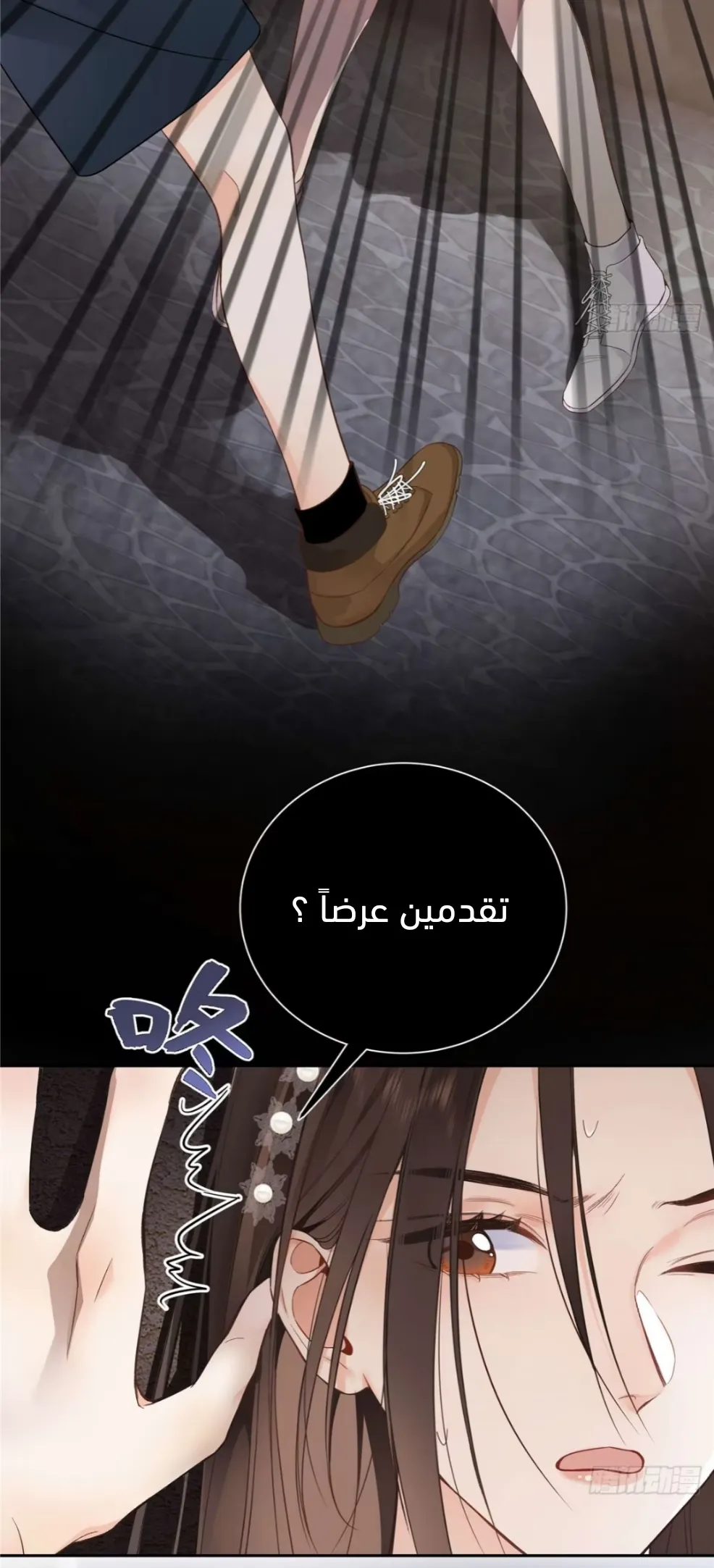 الصفحة 14