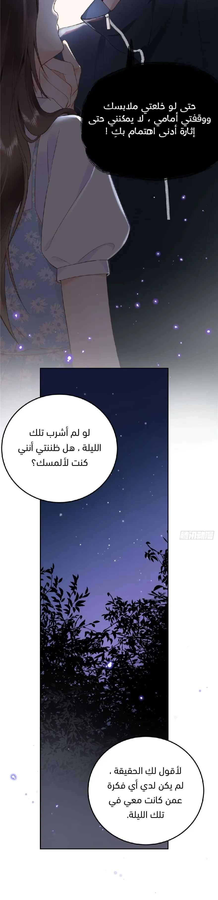 الصفحة 17