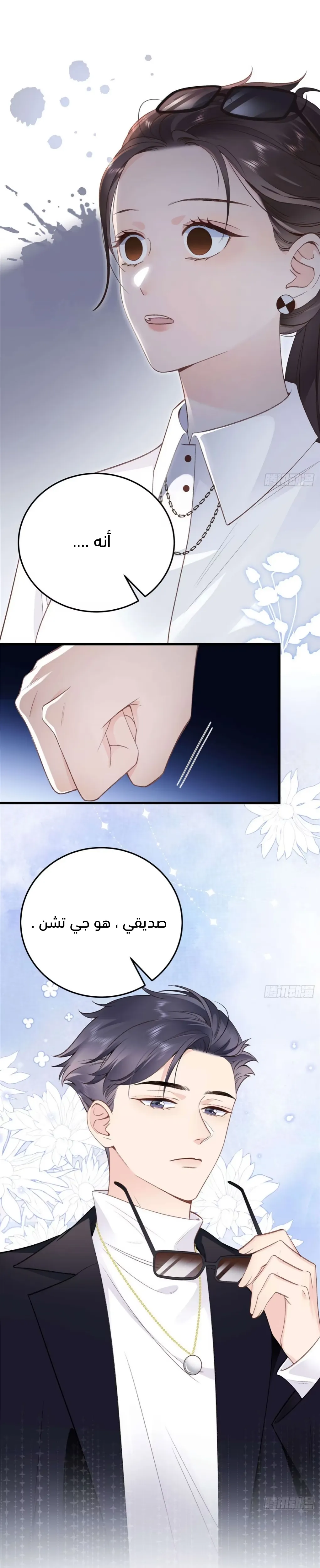 الصفحة 33