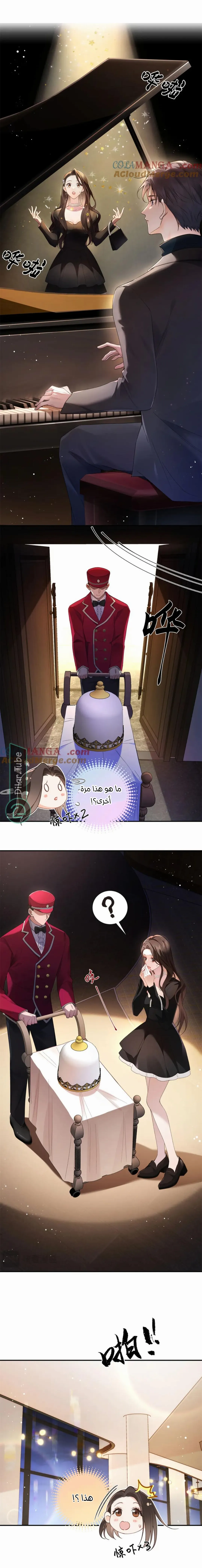 الصفحة 3