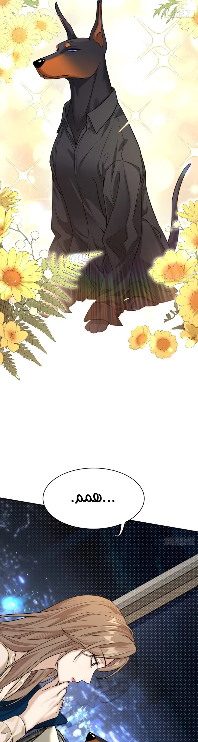 الصفحة 12