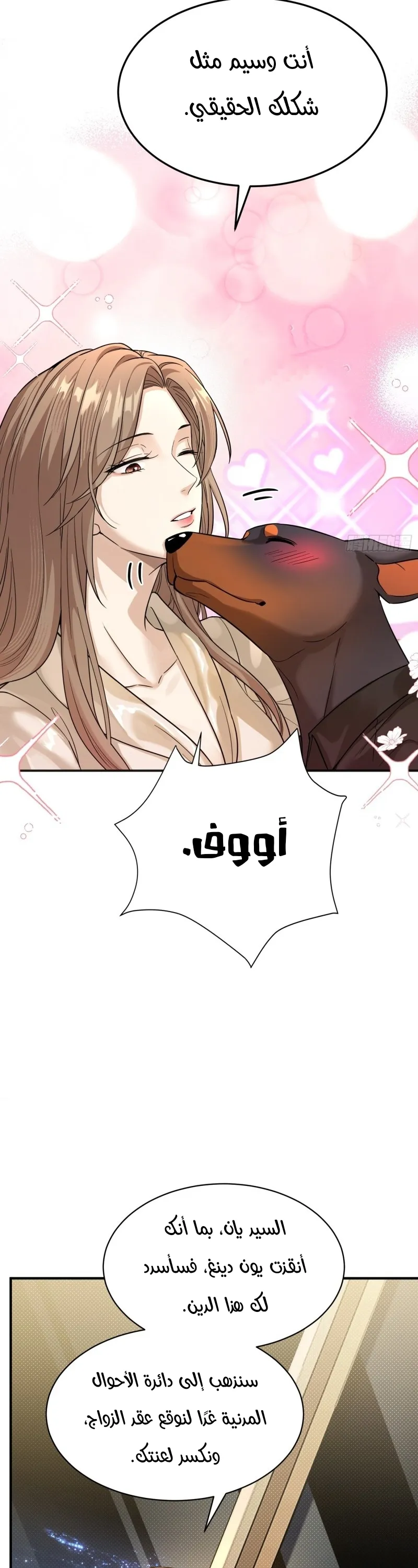 الصفحة 14