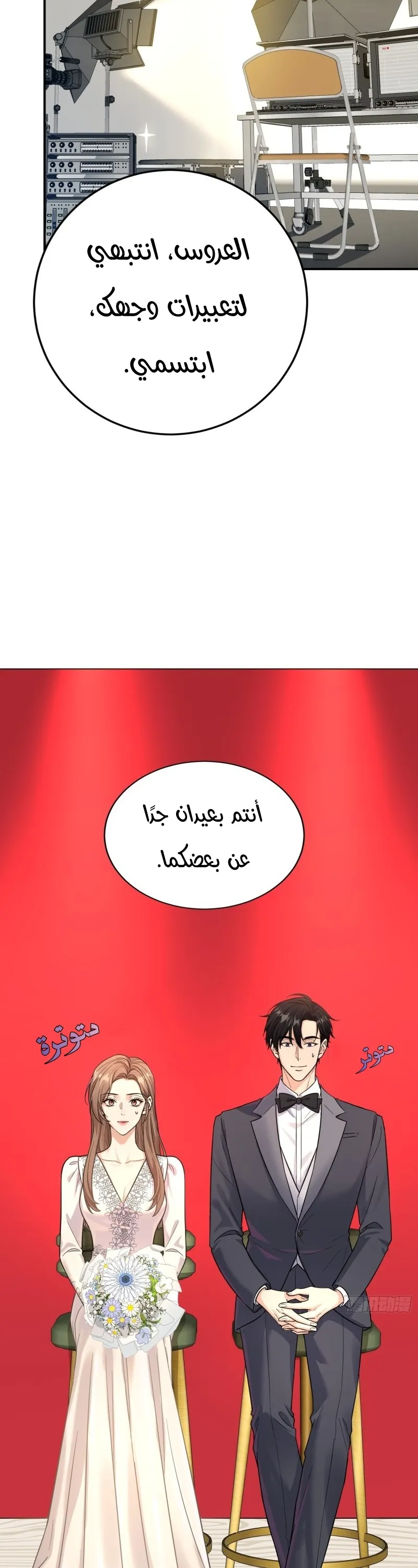 الصفحة 17