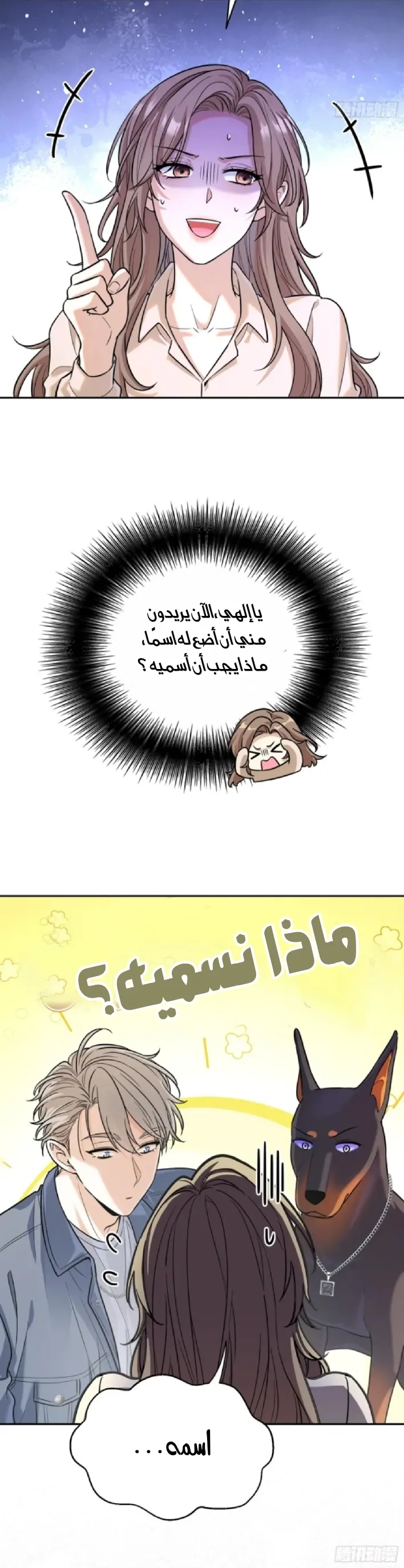 الصفحة 7