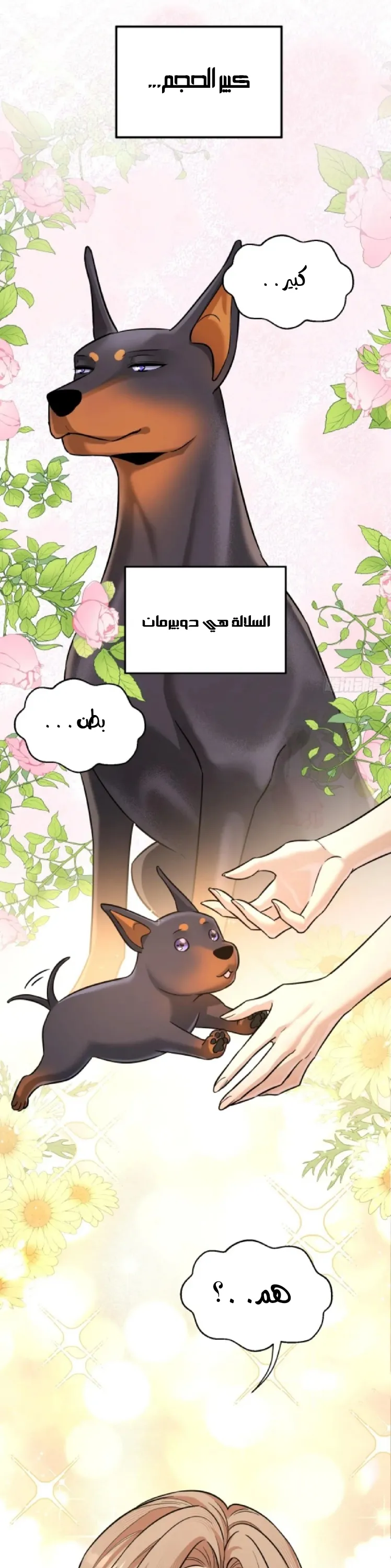 الصفحة 8