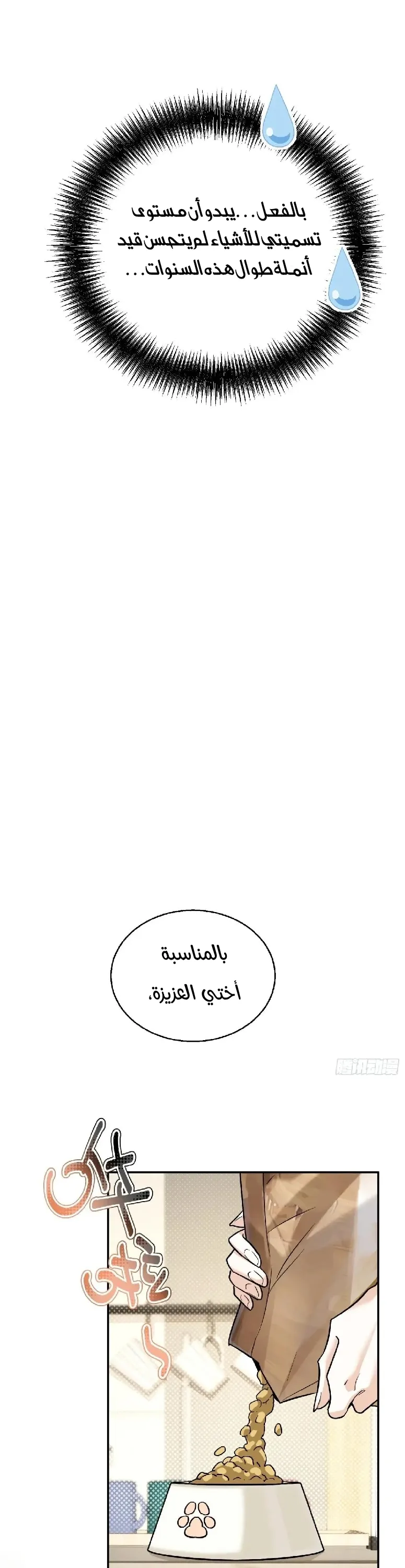 الصفحة 14