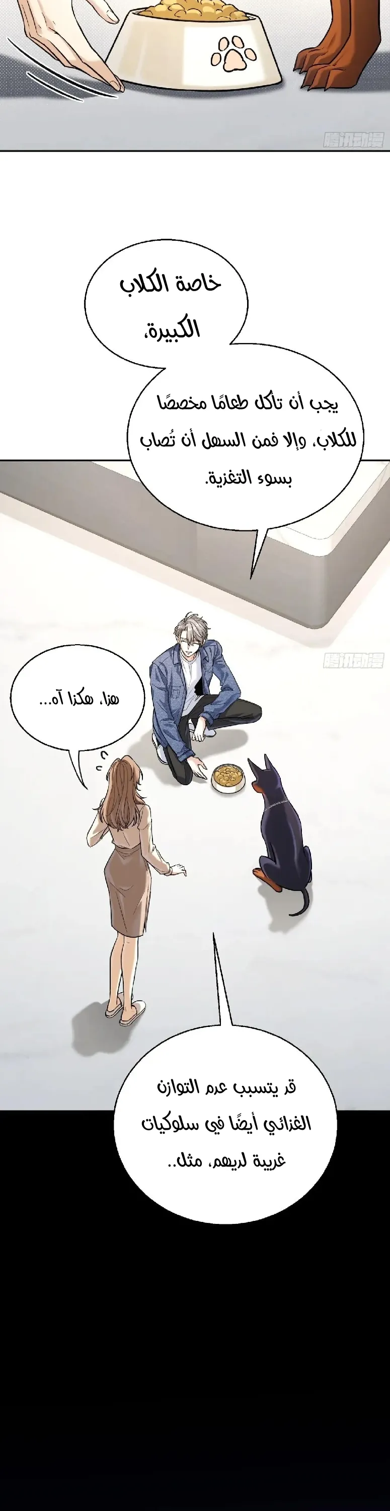 الصفحة 17