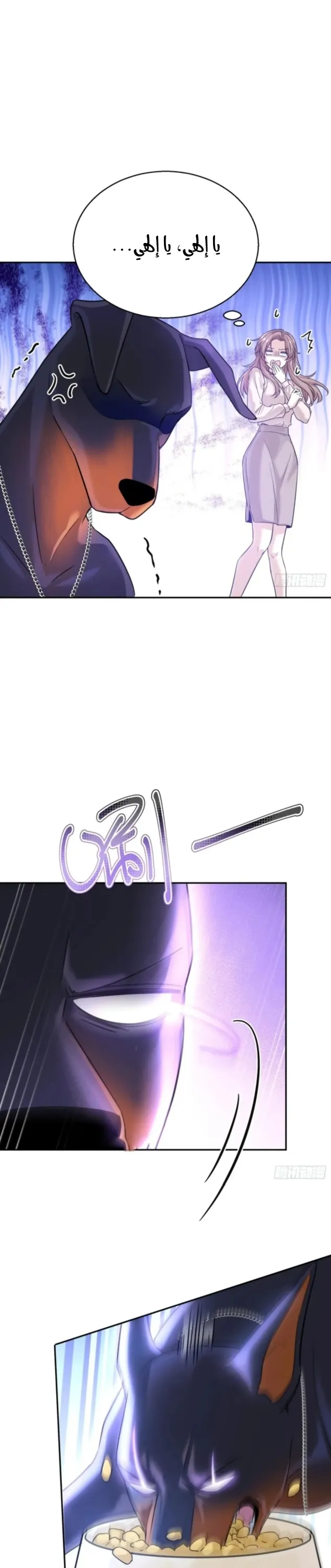 الصفحة 20
