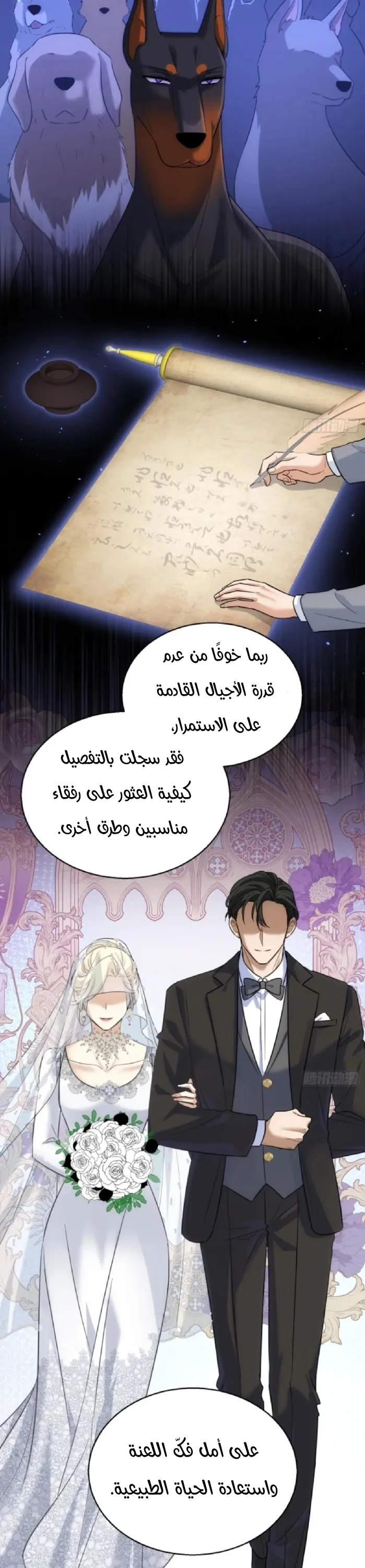 الصفحة 9