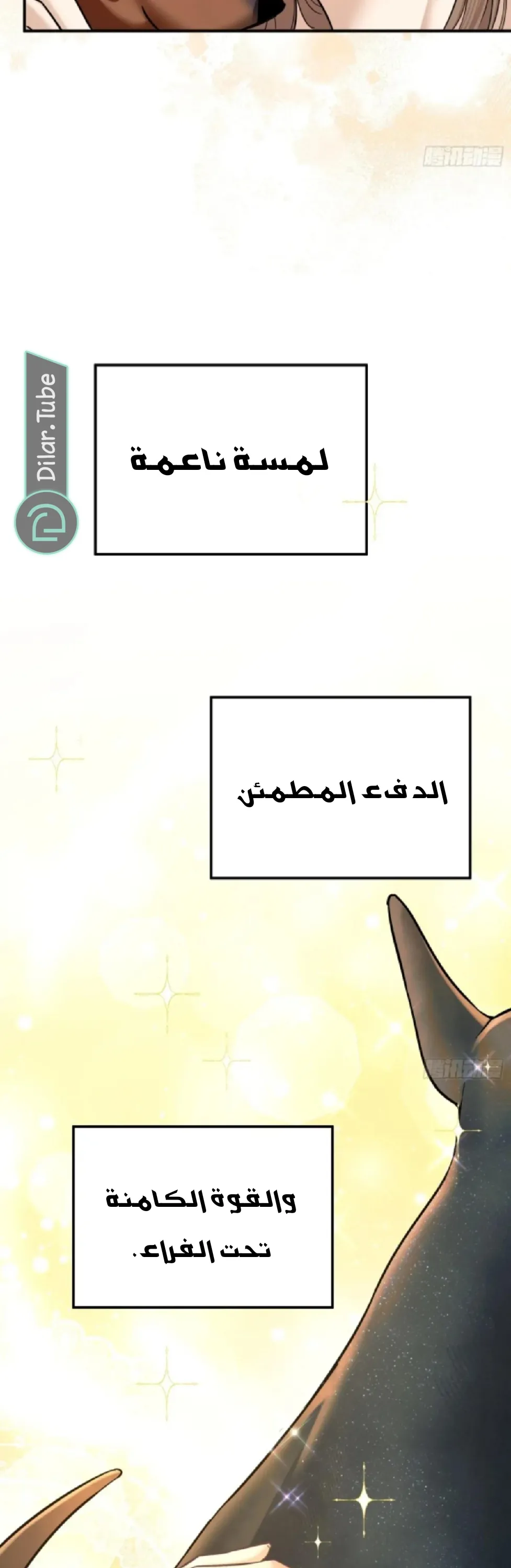 الصفحة 15