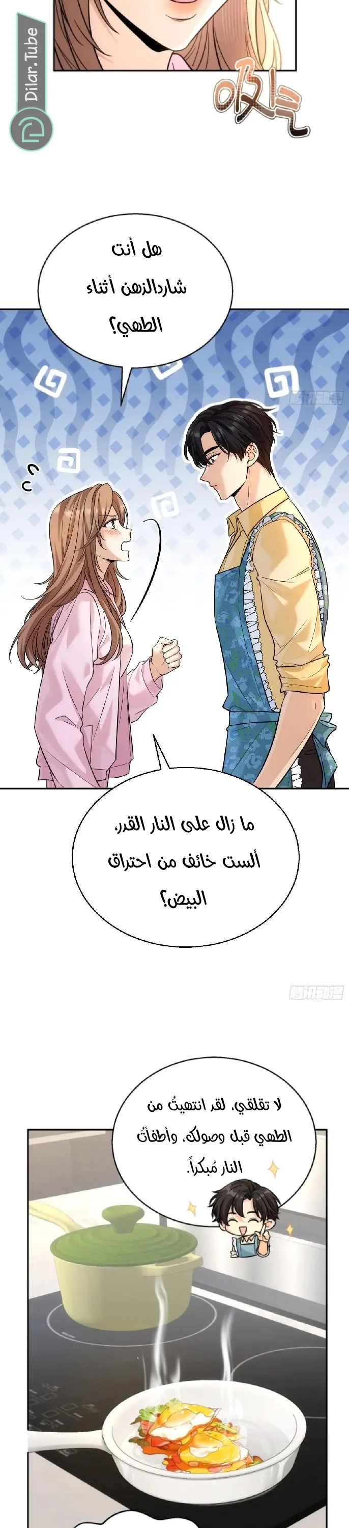 الصفحة 17