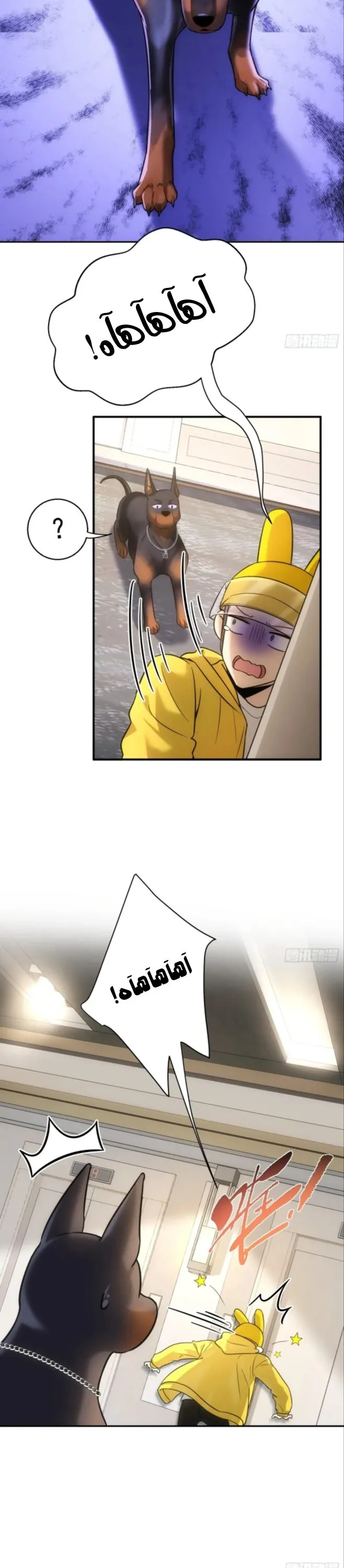 الصفحة 7