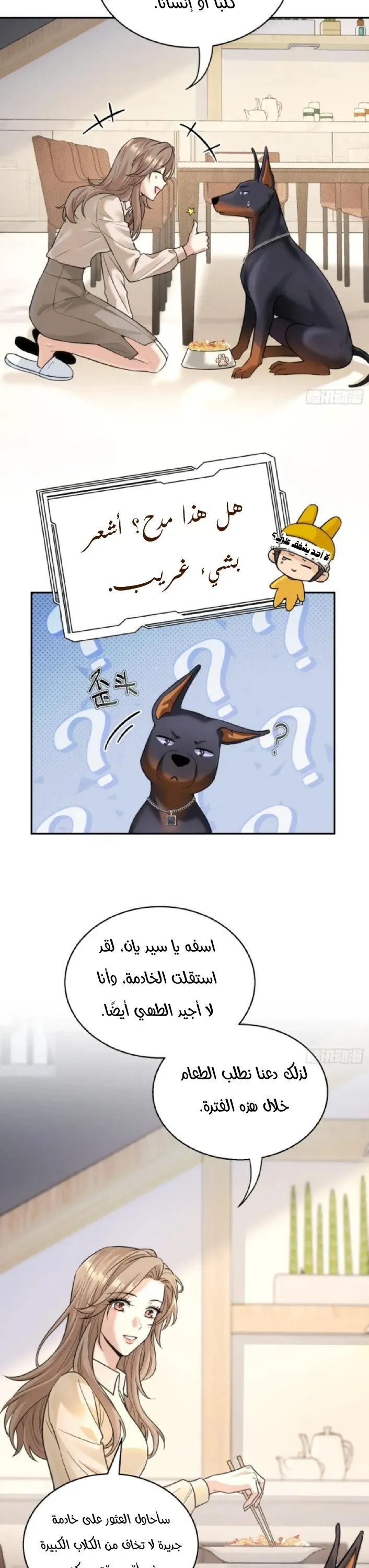 الصفحة 10