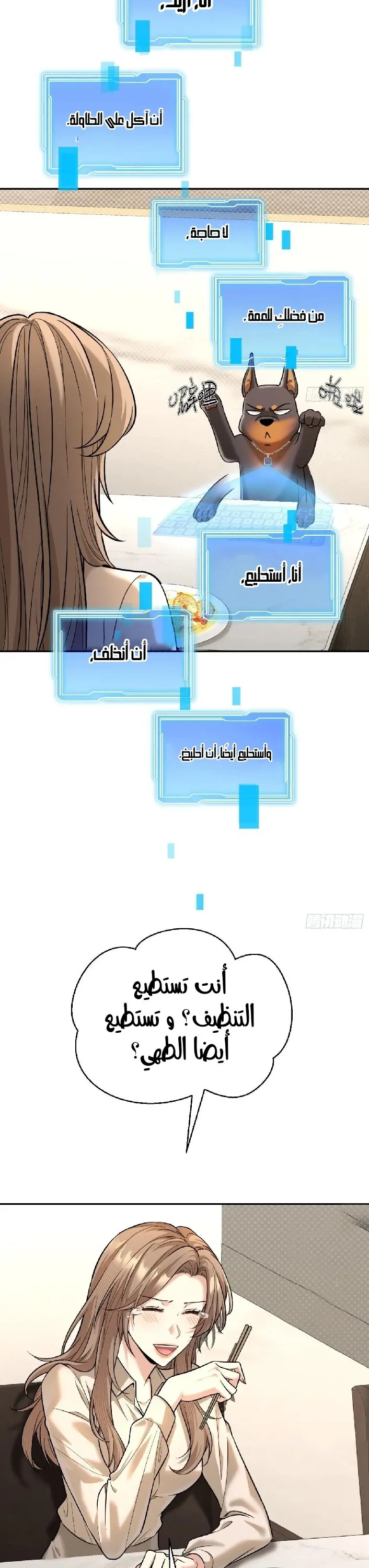 الصفحة 13