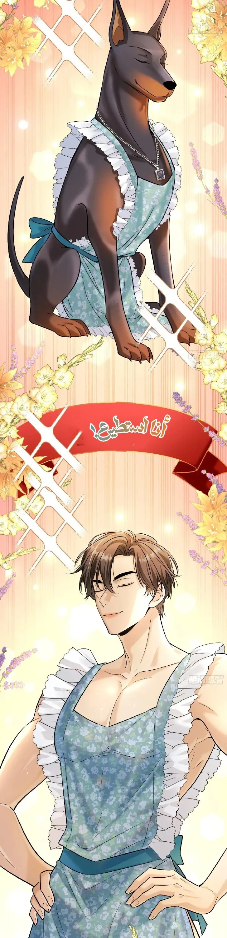 الصفحة 16