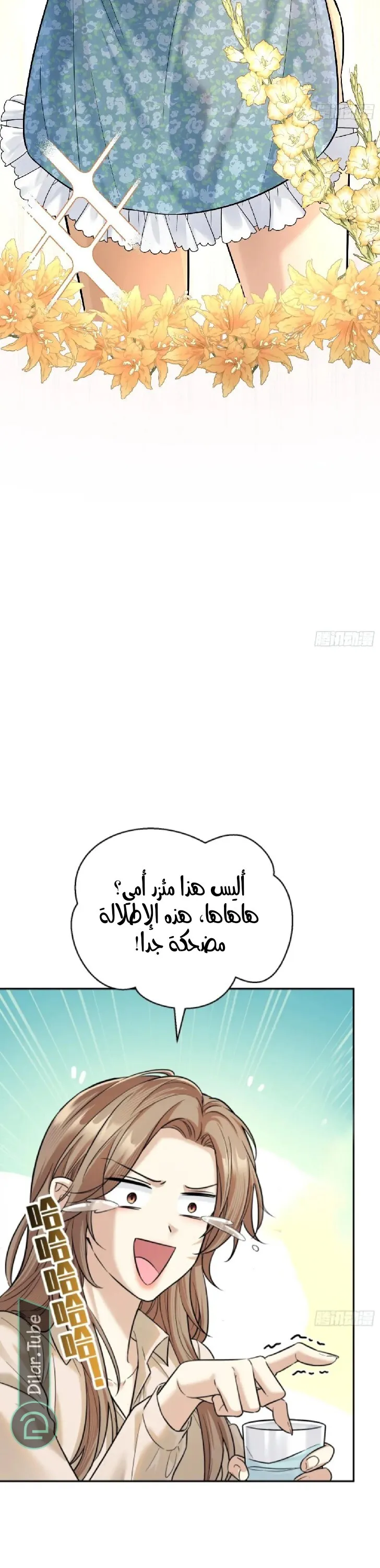 الصفحة 17