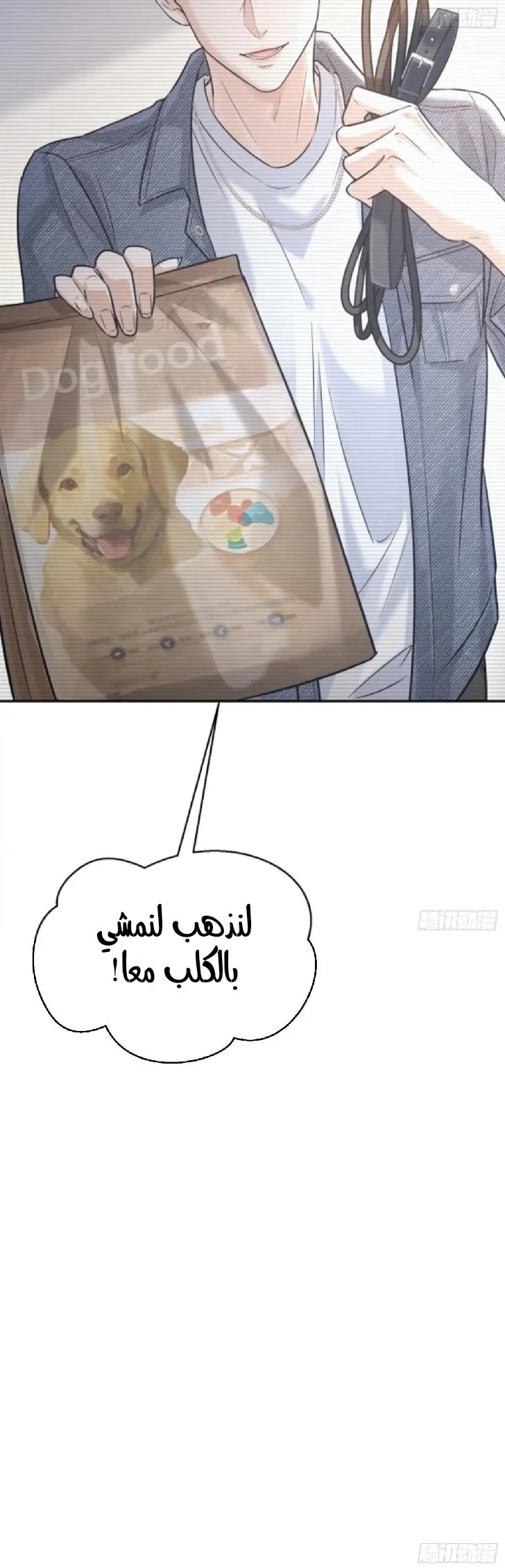 الصفحة 20