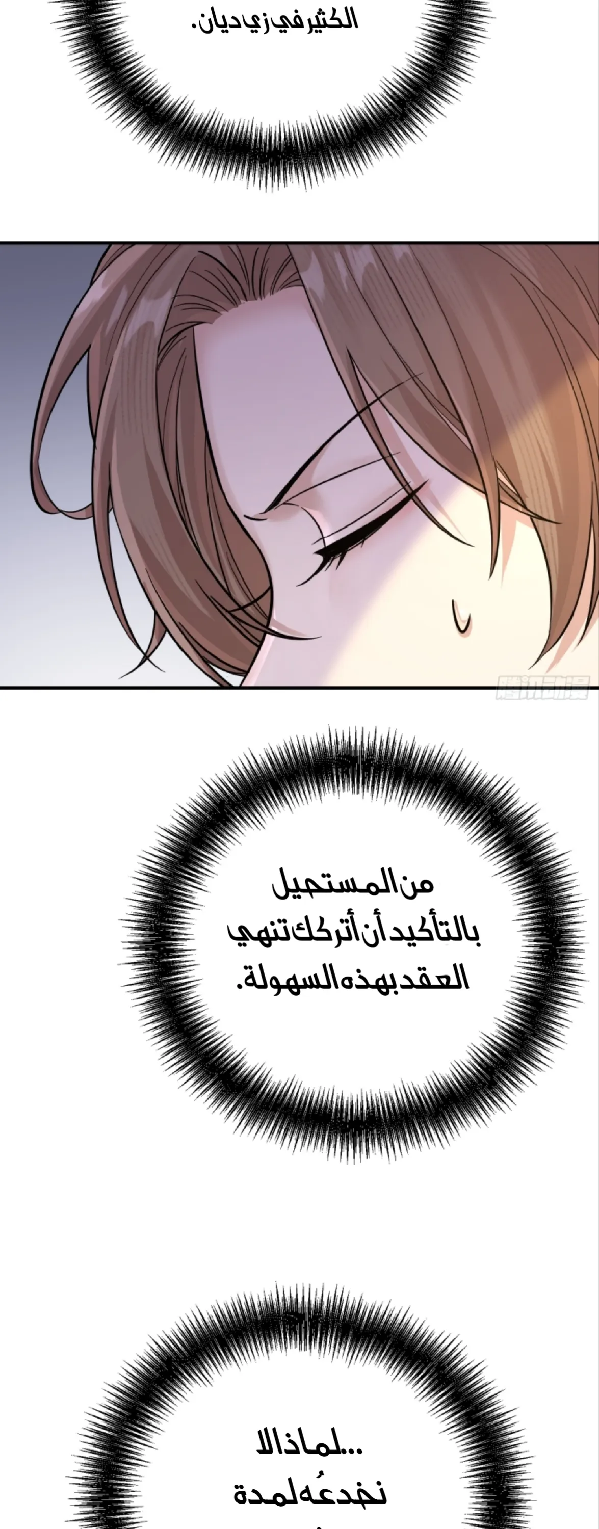 الصفحة 12
