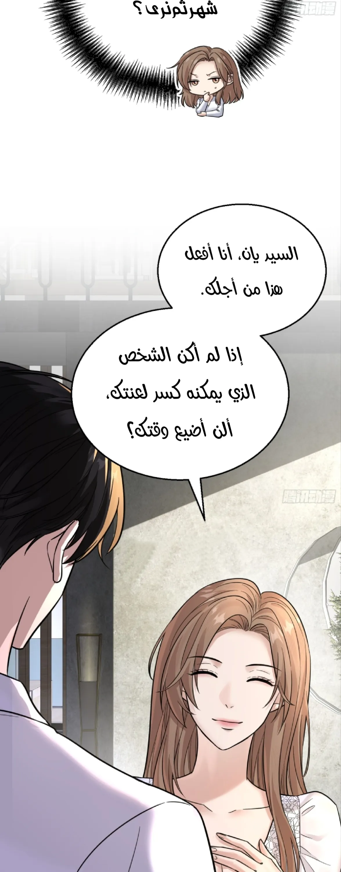 الصفحة 13