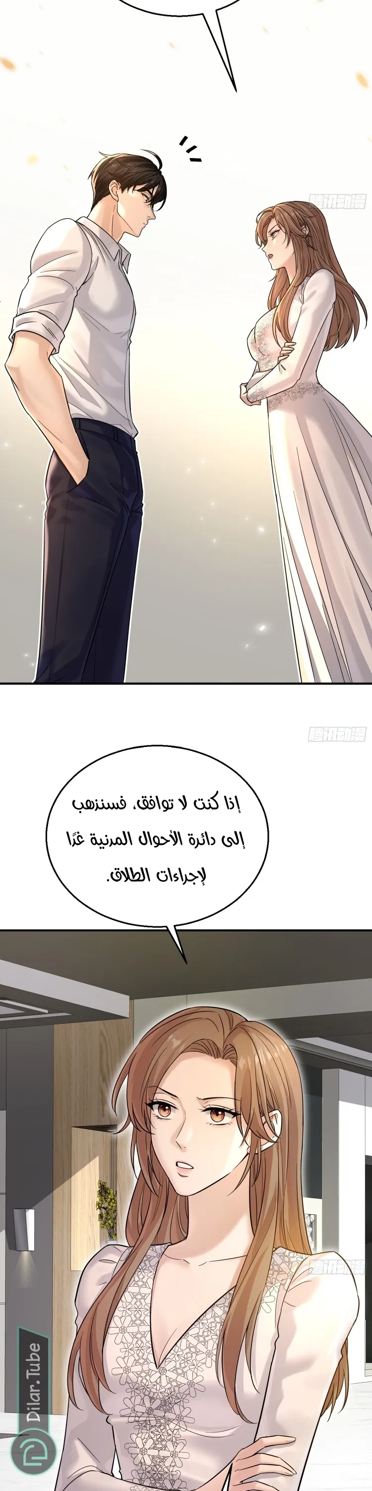 الصفحة 17