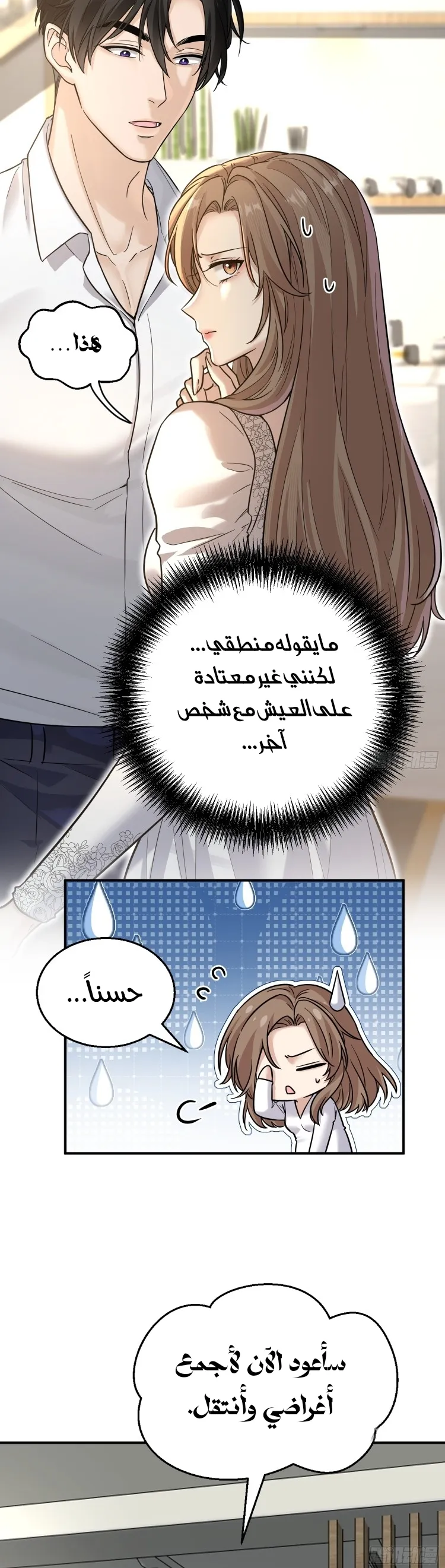 الصفحة 20
