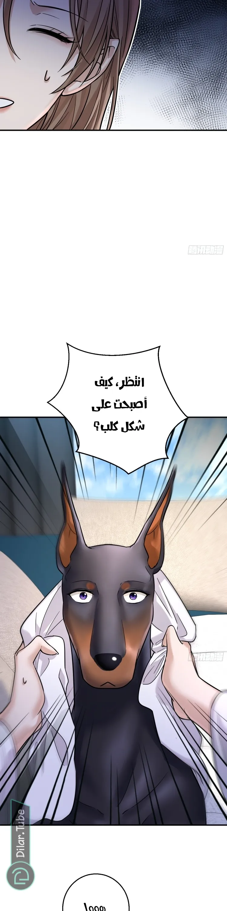 الصفحة 23