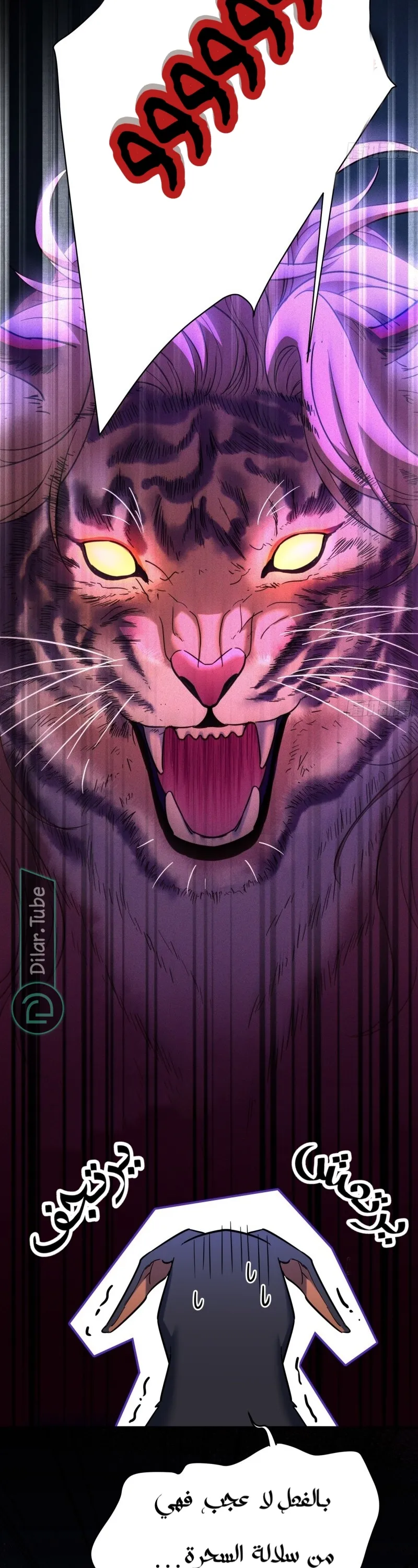 الصفحة 5