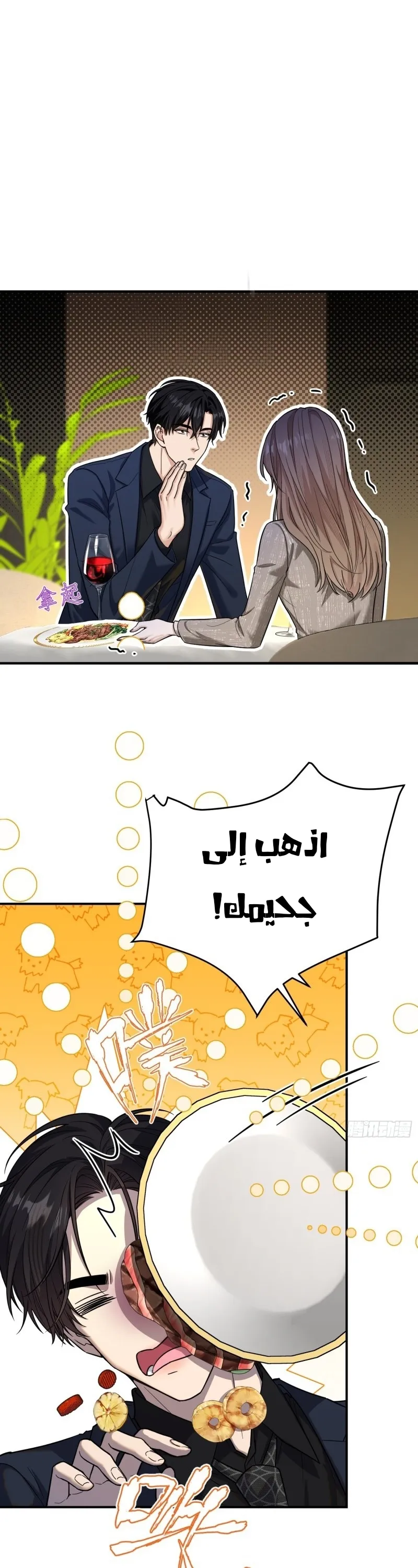 الصفحة 12