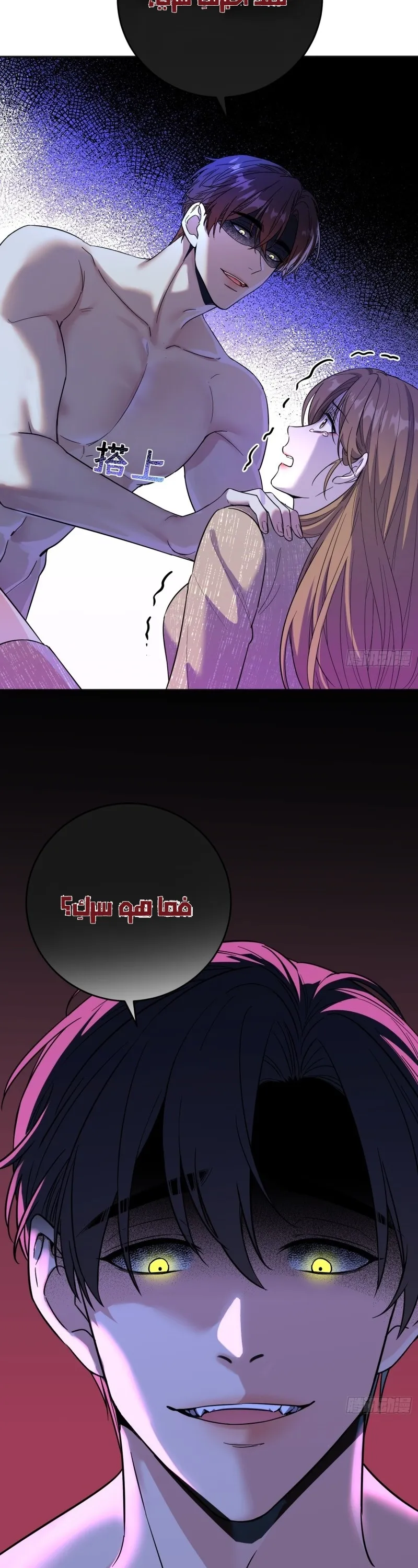 الصفحة 20