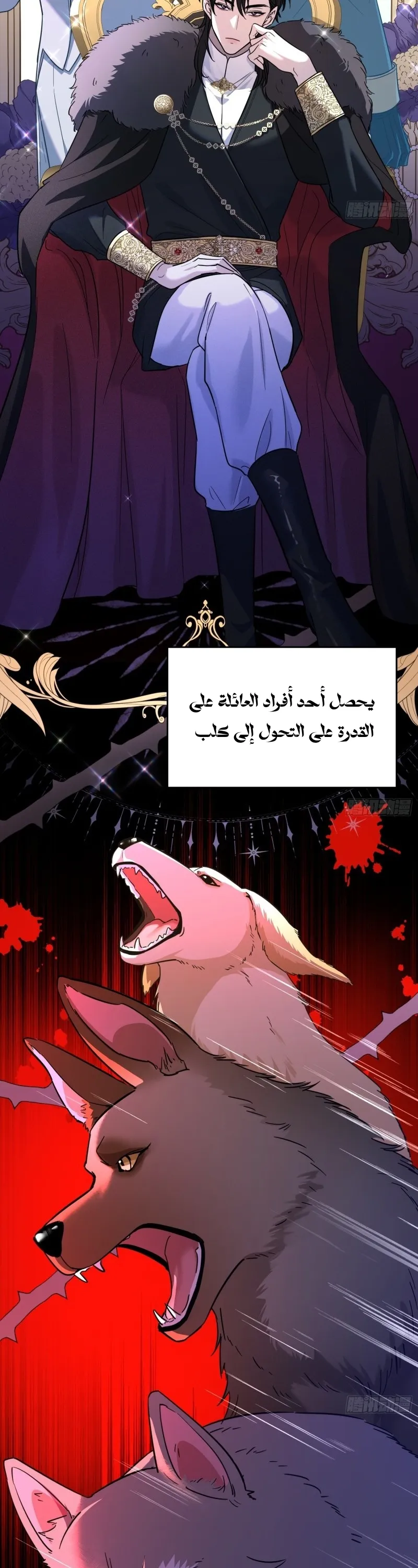 الصفحة 29