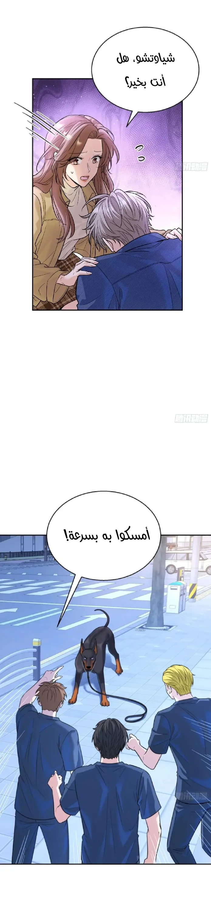 الصفحة 3