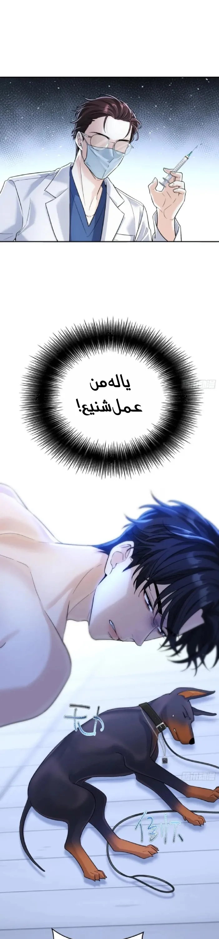 الصفحة 8
