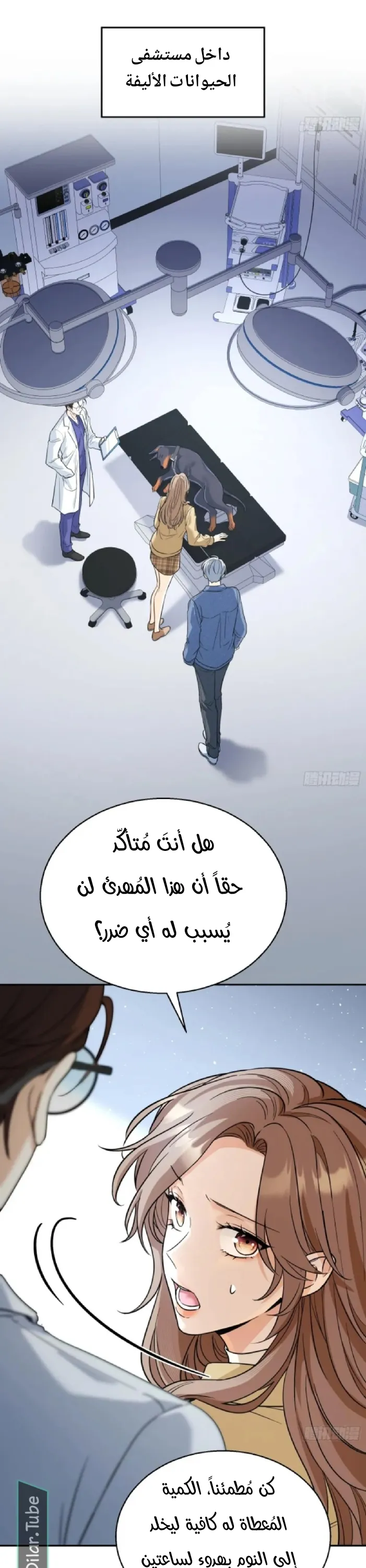 الصفحة 10