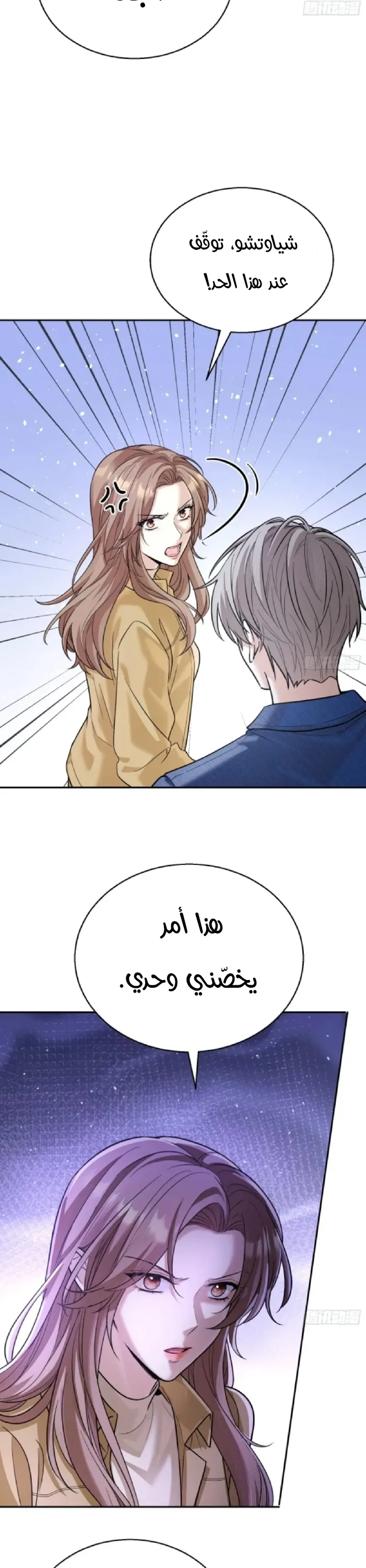 الصفحة 12