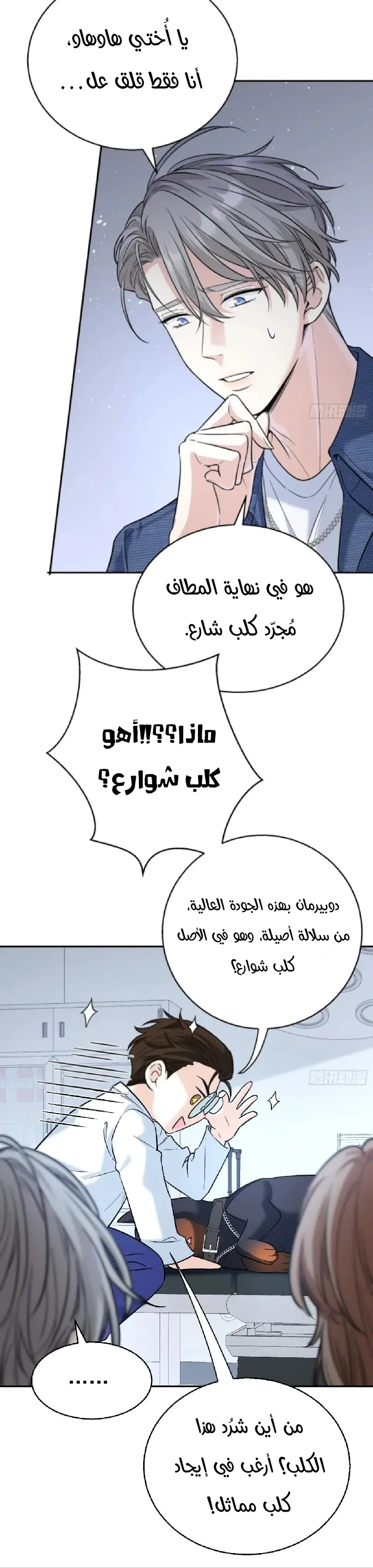 الصفحة 13