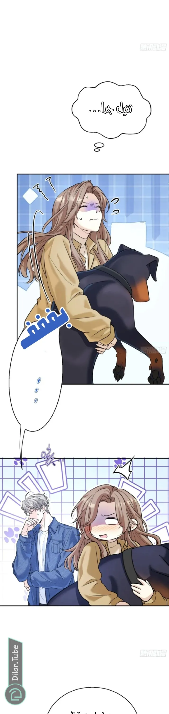 الصفحة 16