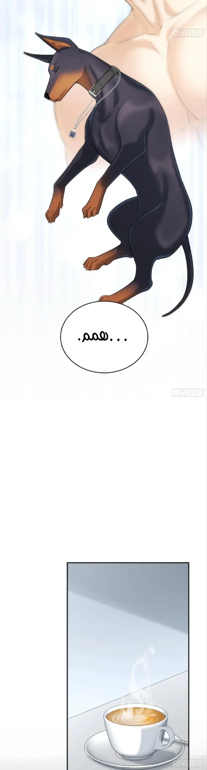الصفحة 19