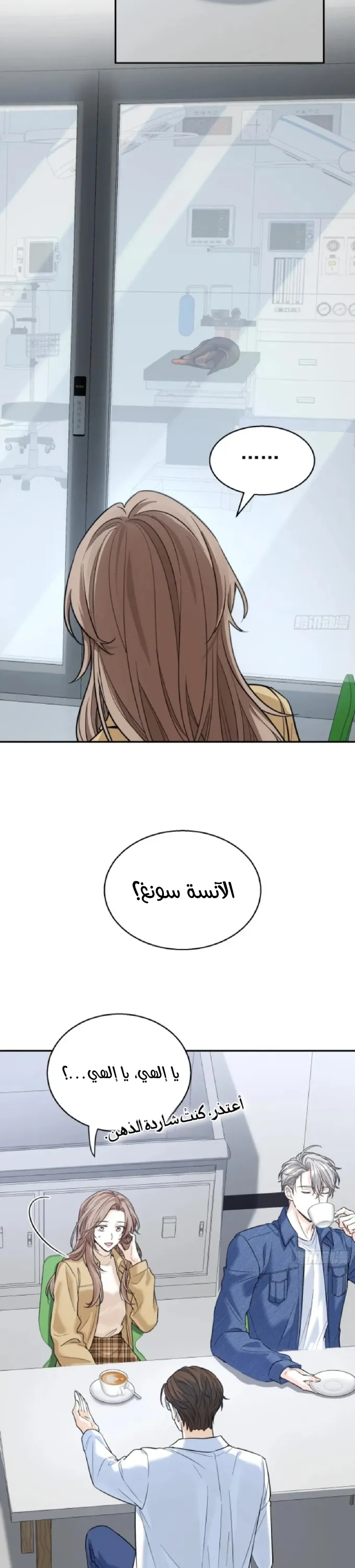 الصفحة 20