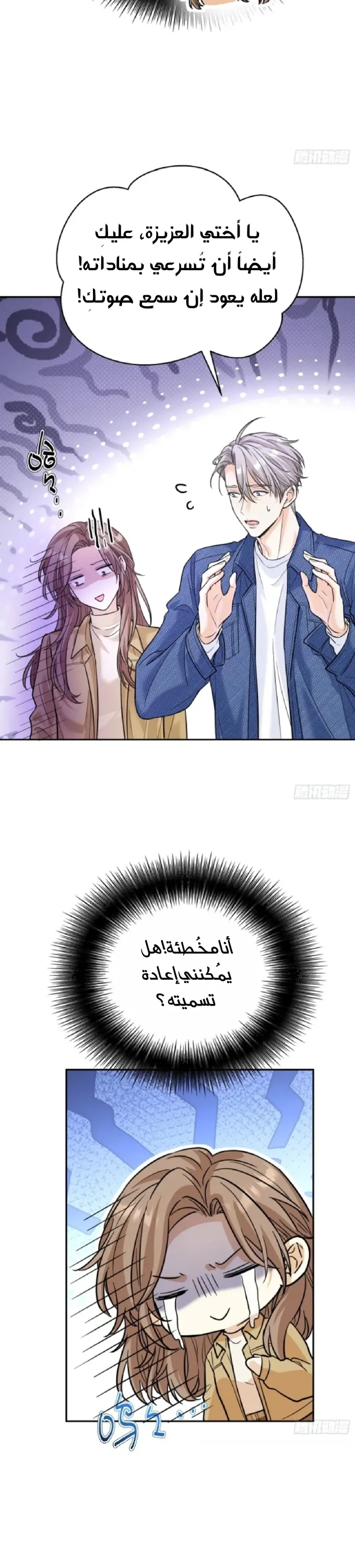الصفحة 25
