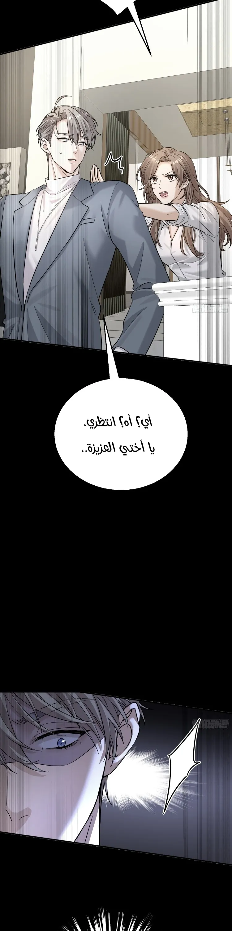 الصفحة 11